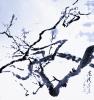 我的相册